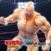 [PRE-ORDER MAYO 2025] S.H FIGUARTS KINNIKUMAN -PERFECT ORIGIN ARC – 16 CM -Toy Series Store KINNIKUMAN PERFECT ORIGIN ARC SH FIGUARTS 1 600x600 1