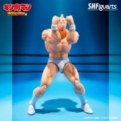 [PRE-ORDER MAYO 2025] S.H FIGUARTS KINNIKUMAN -PERFECT ORIGIN ARC – 16 CM -Toy Series Store KINNIKUMAN PERFECT ORIGIN ARC SH FIGUARTS 7 600x600 1