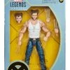 HASBRO MARVEL LEGENDS X-MEN WOLVERINE EXCLUSIVE 2020 – 15 CM 1 HASBRO MARVEL LEGENDS X-MEN WOLVERINE EXCLUSIVE 2020 – 15 CM -Toy Series Store x hase8707 j